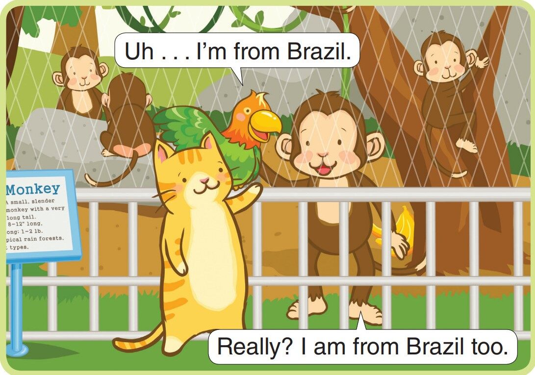 Where Are You From?绘本故事第5页