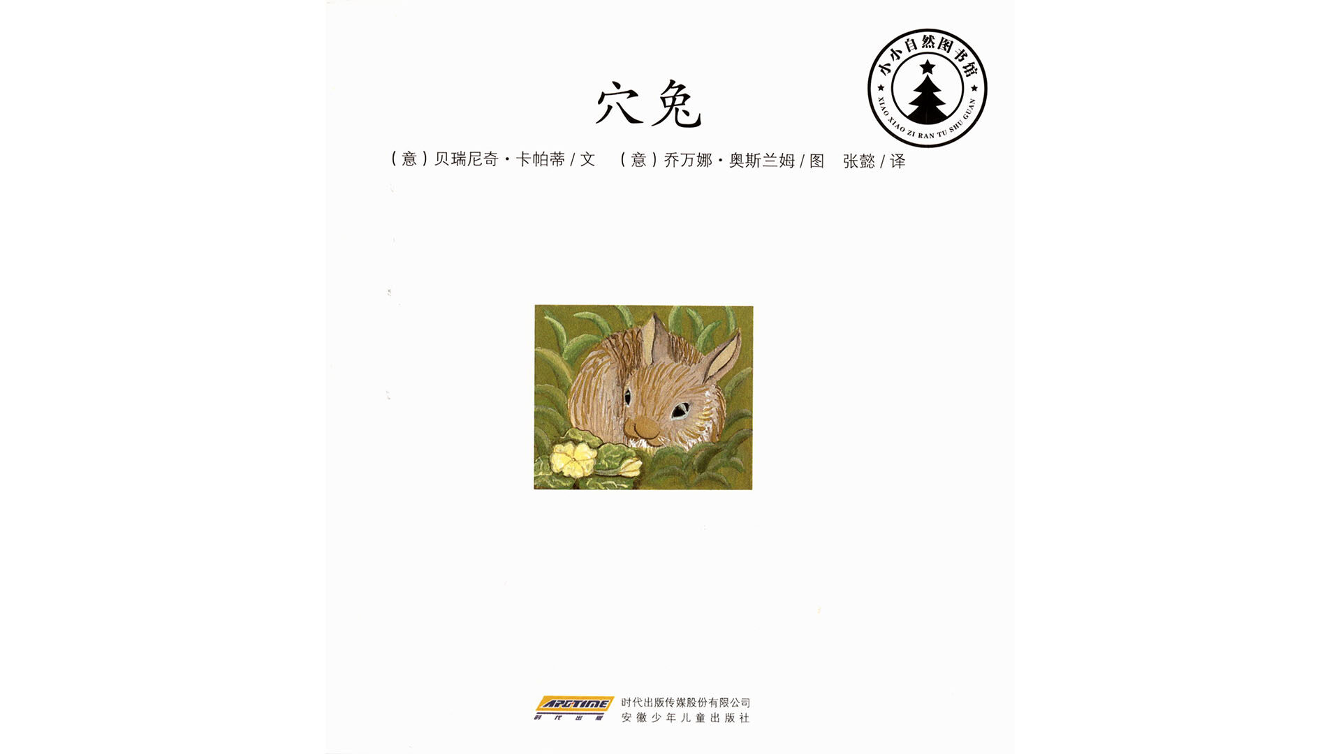 穴兔绘本故事第2页