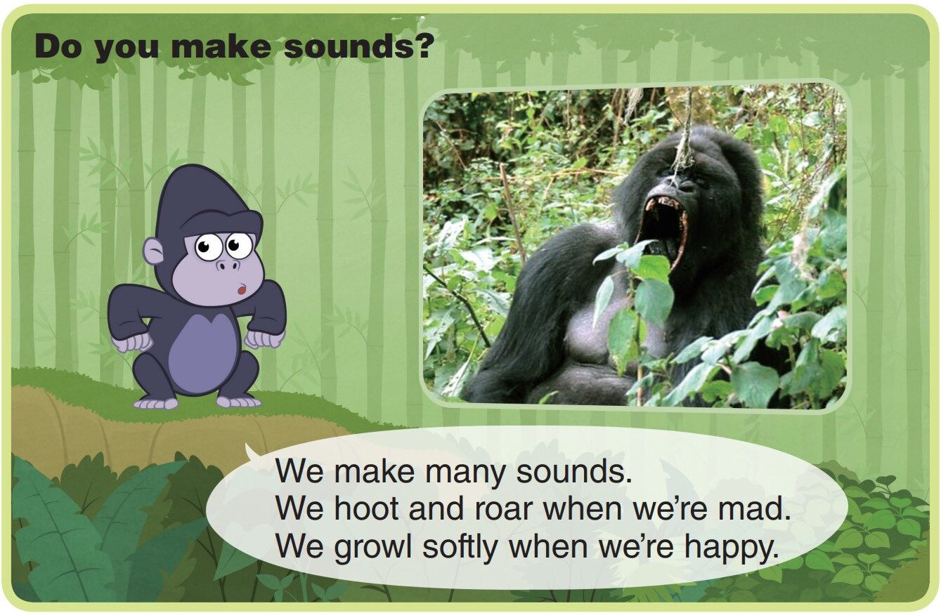 Mountain Gorilla绘本故事第5页