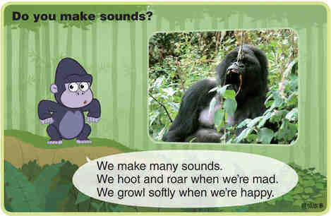 Mountain Gorilla绘本故事第5页