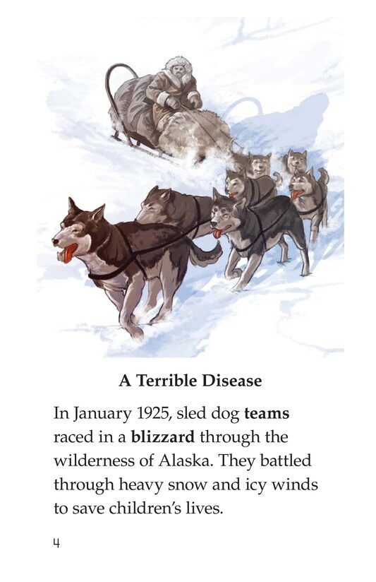 Sled Dogs to the Rescue绘本故事第3页