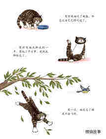 爱忘事儿的莫格绘本故事第3页