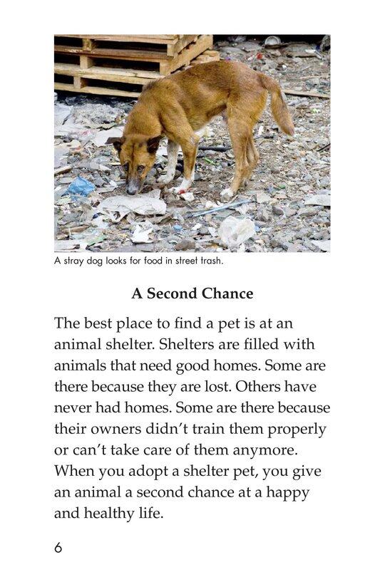 Shelter Pets Are Best绘本故事第5页