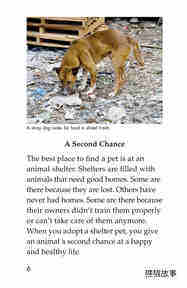 Shelter Pets Are Best绘本故事第5页