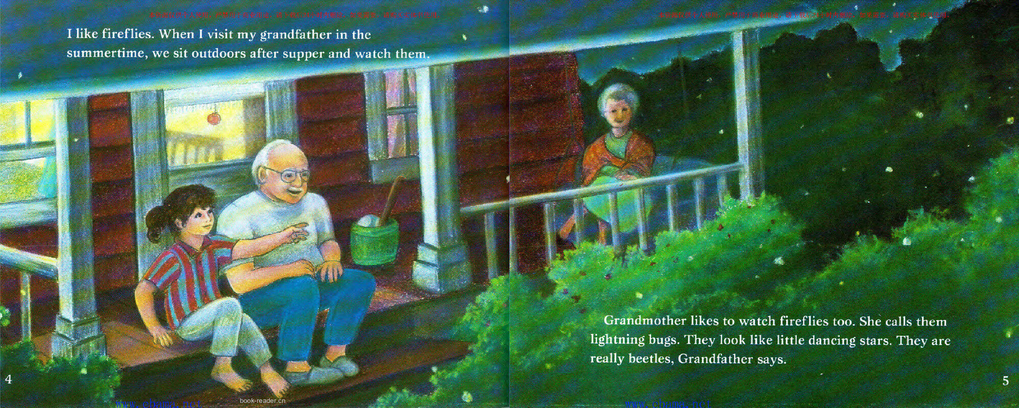 Fireflies in the Night绘本故事第3页