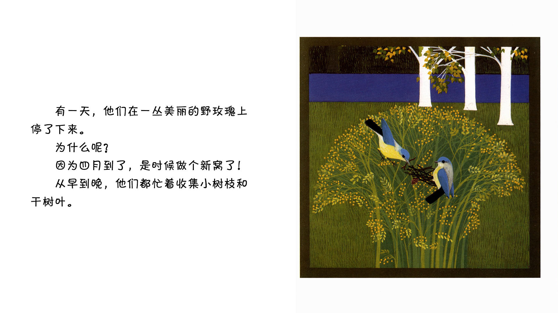 蓝冠山雀绘本故事第4页