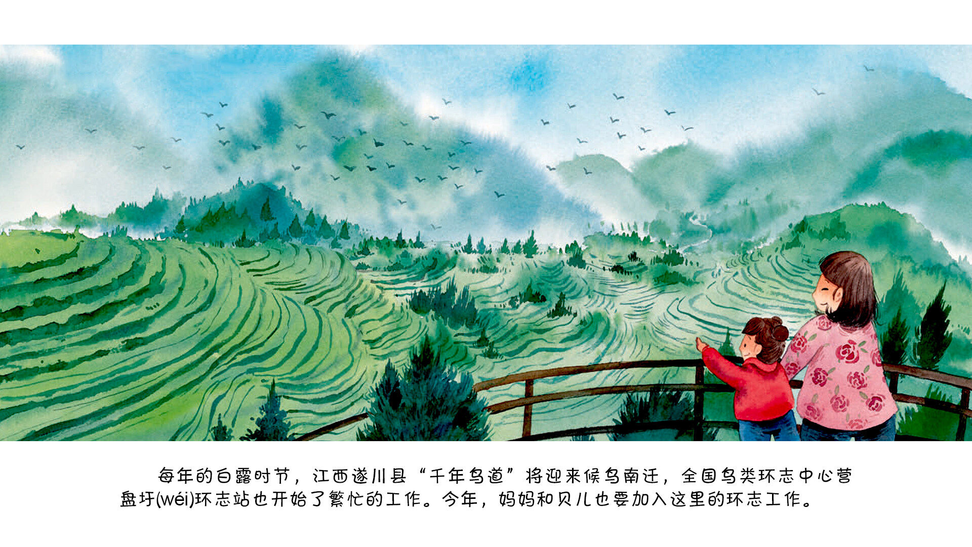 白露·候鸟飞绘本故事第5页