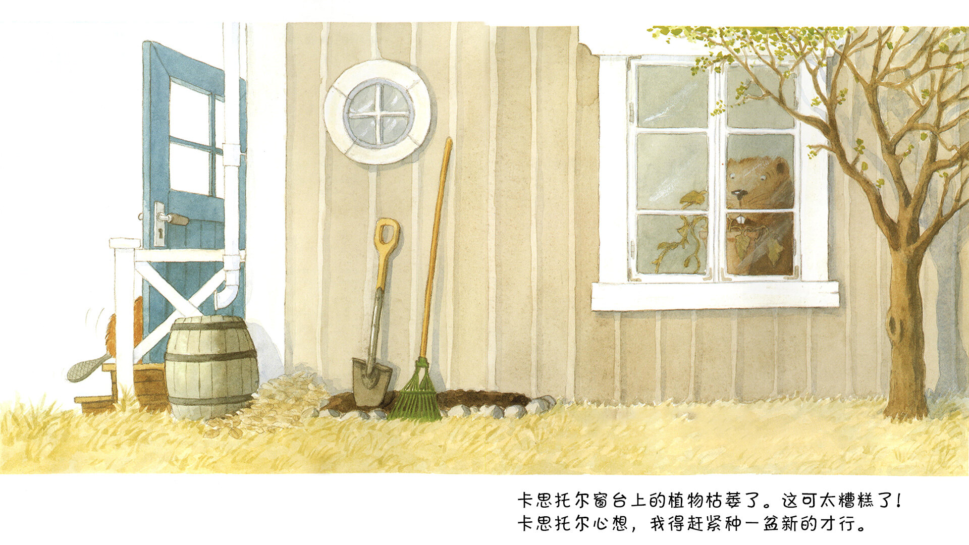 小海狸种扁豆绘本故事第3页