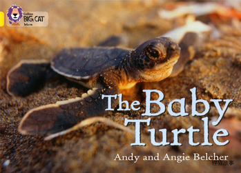 The BABY Turtle