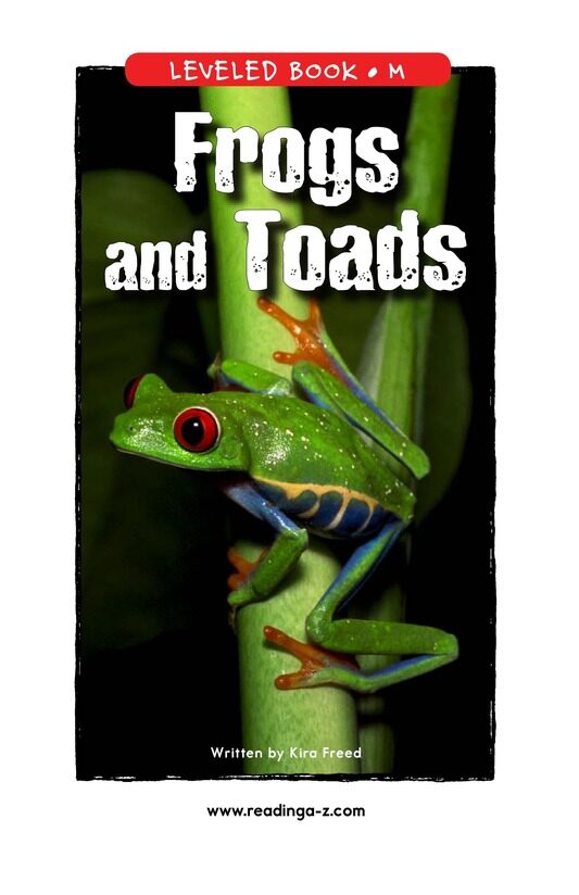 Frogs and Toads绘本故事第2页