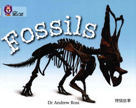 Fossils