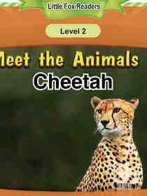 Cheetah