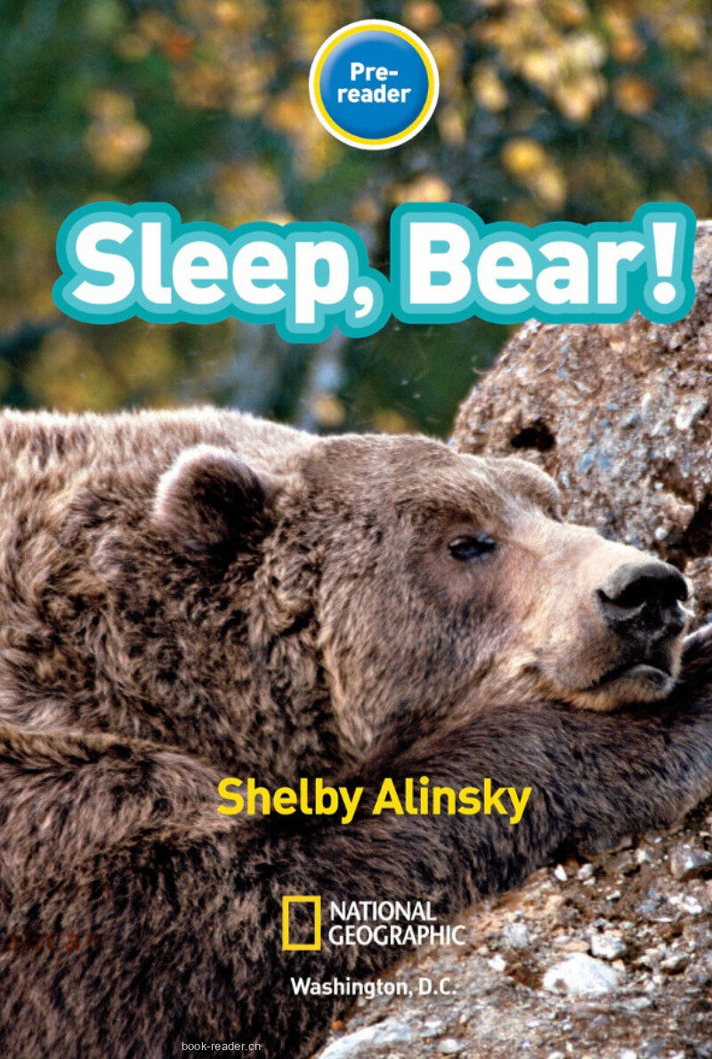 Sleep Bear绘本故事第2页