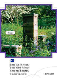 Bees and Flowers绘本故事第3页