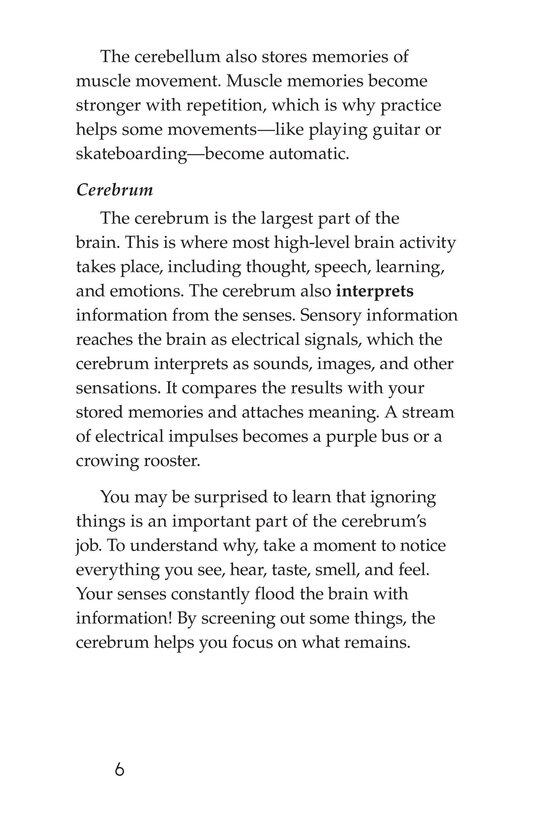 The Amazing Brain绘本故事第5页