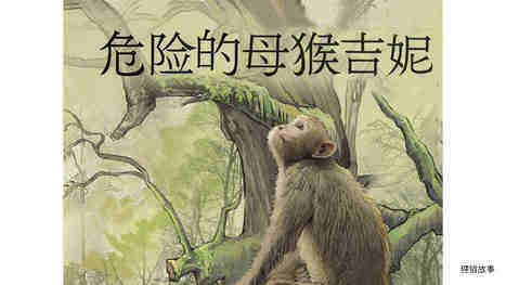 危险的母猴吉妮绘本故事第2页