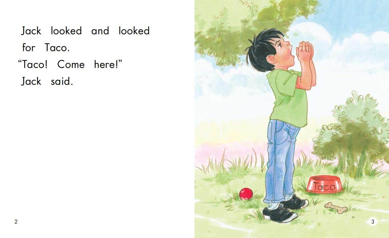 Looking for Taco绘本故事第3页