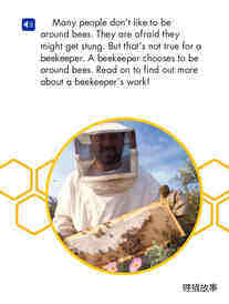 A Beekeeper's Work绘本故事第3页