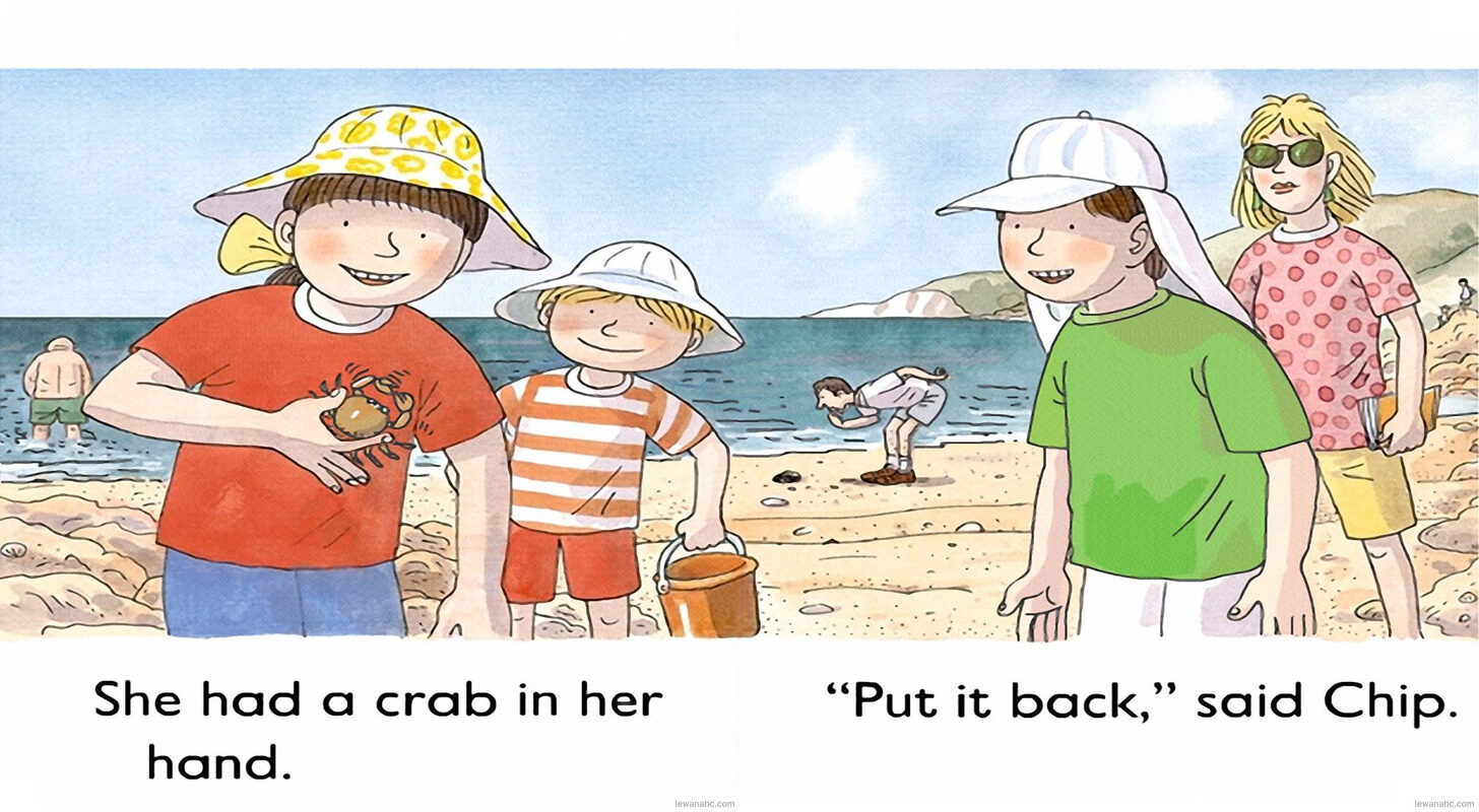 Put it Back绘本故事第4页