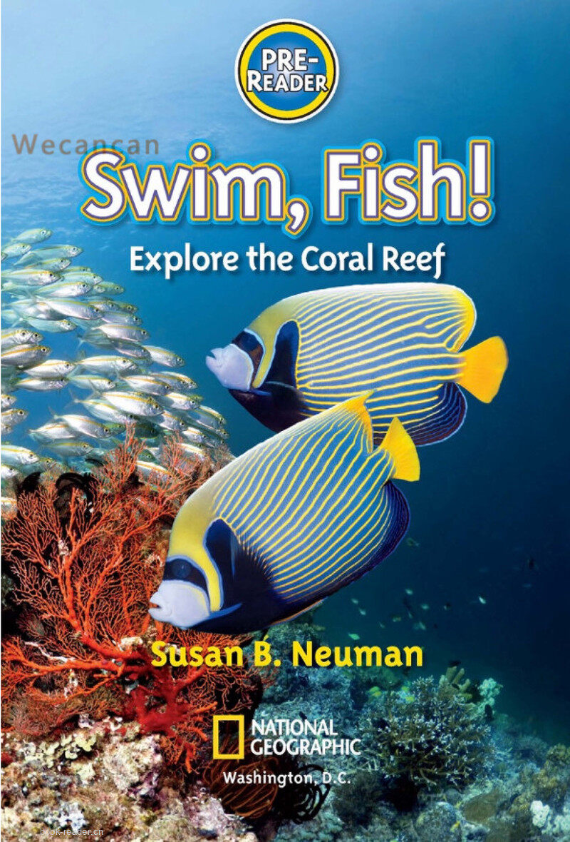 Swim Fish绘本故事第2页