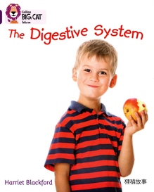 The Digestive System