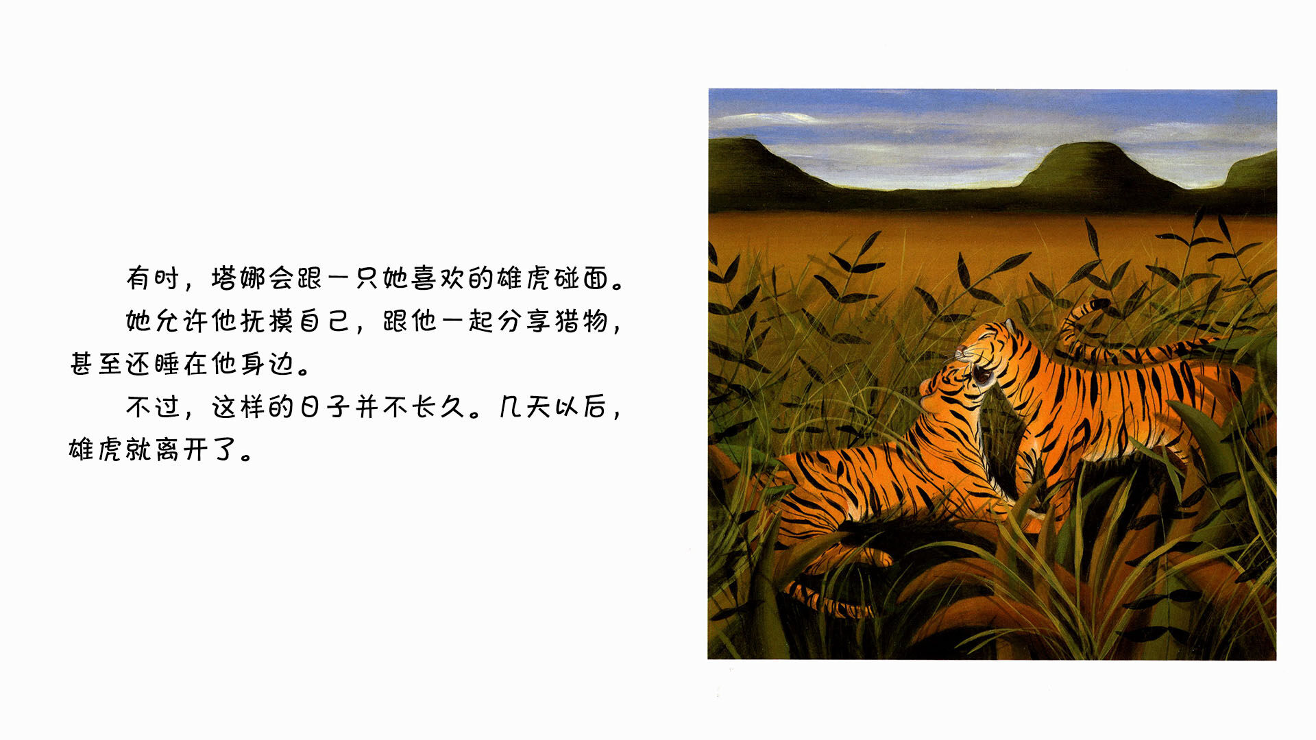 老虎   绘本故事第4页