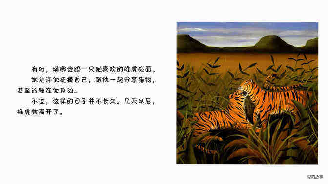 老虎   绘本故事第4页