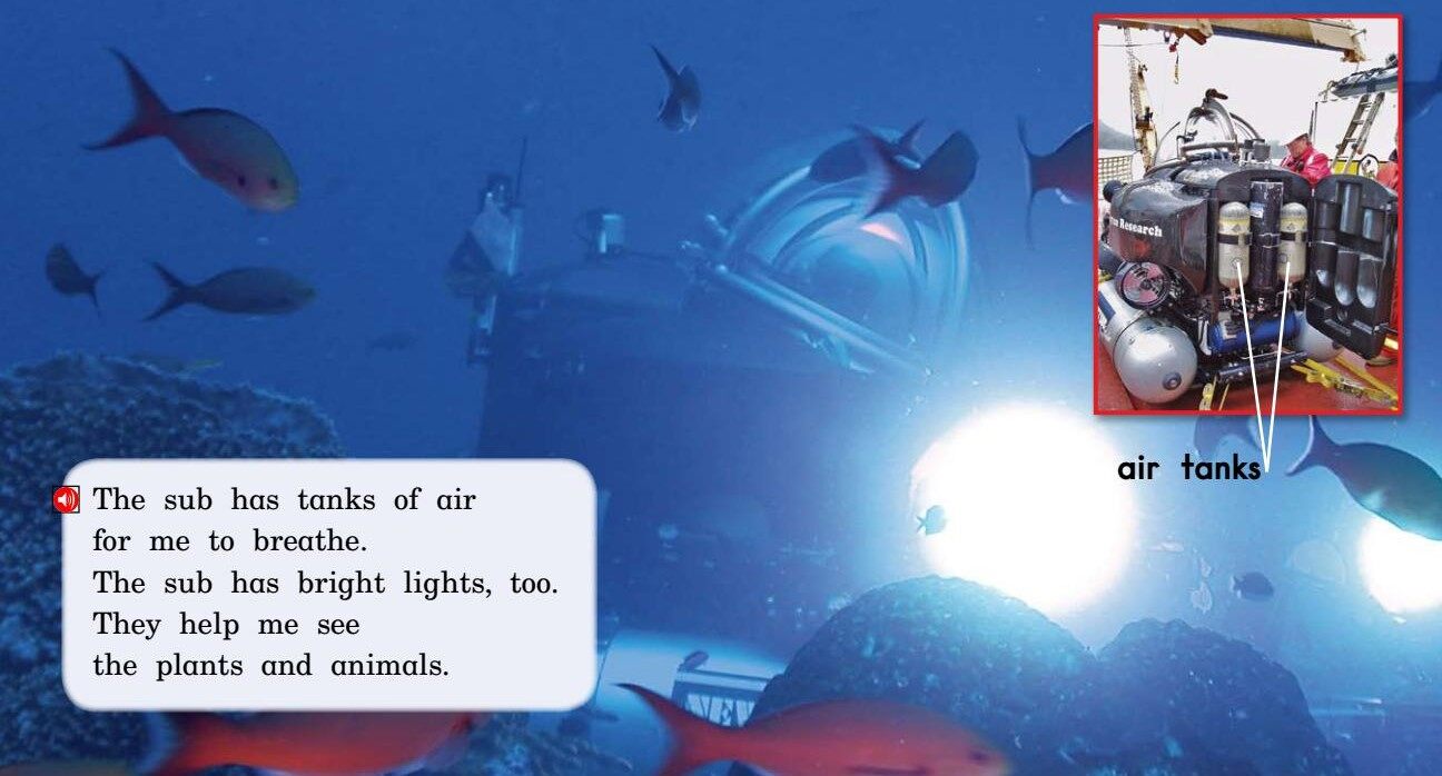 Into the Sea绘本故事第4页