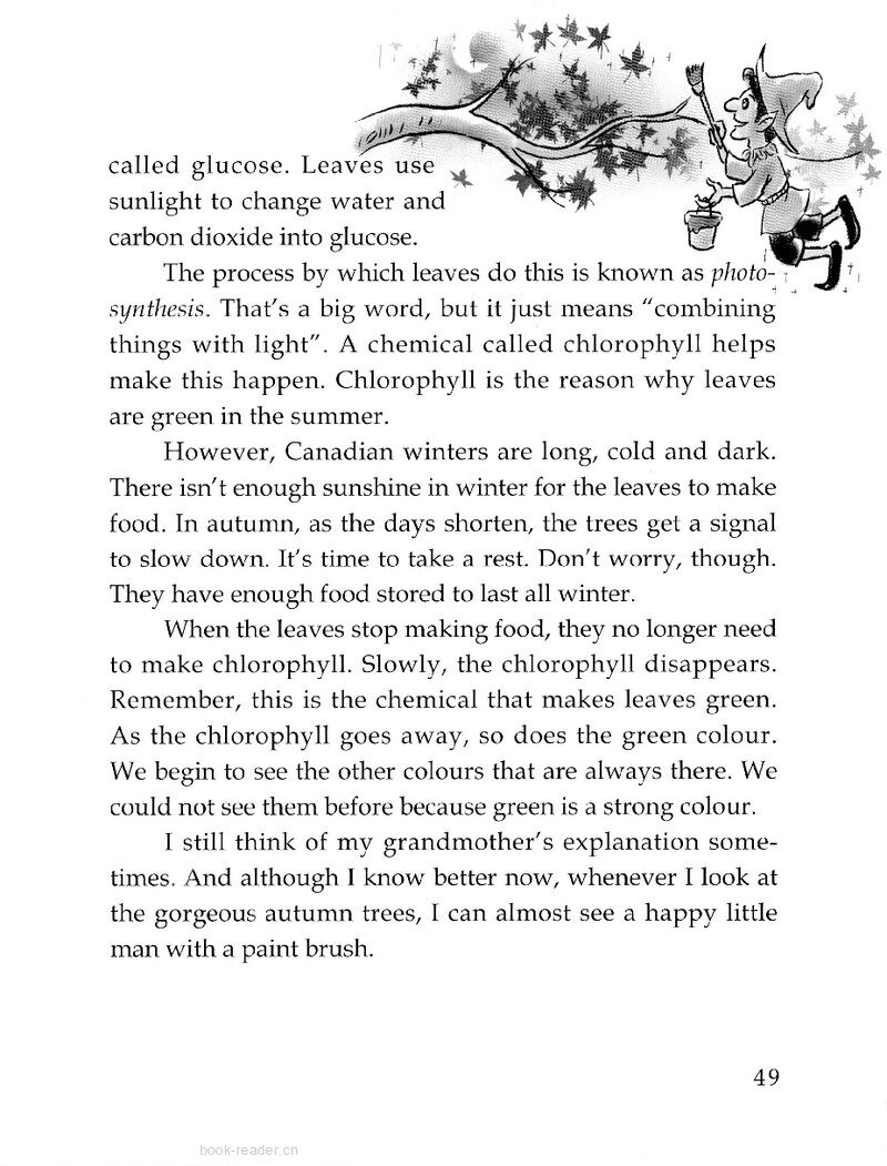 Why Do Leaves Change Colour in Autumn?绘本故事第3页