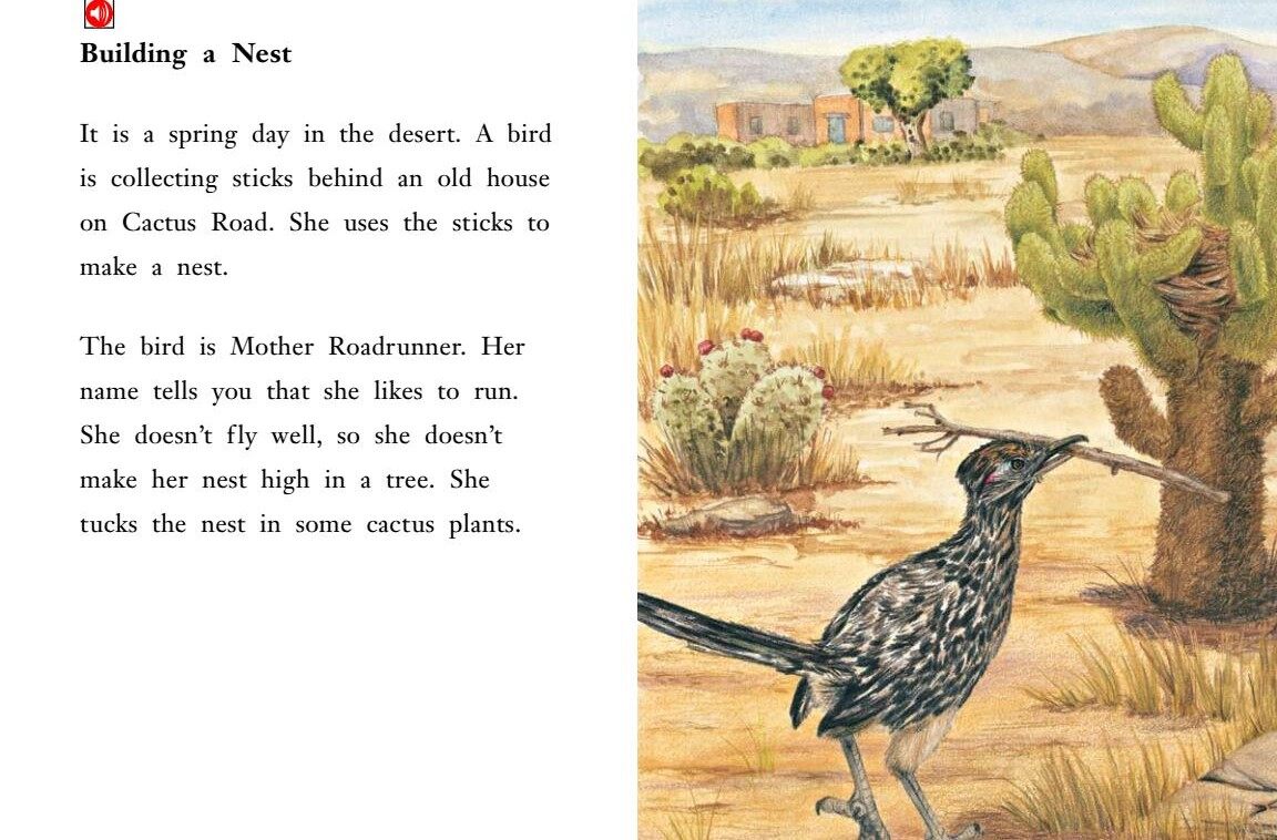 The Roadrunners绘本故事第3页