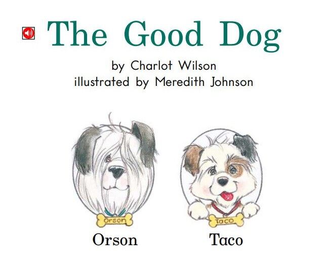 The good dog绘本故事第2页