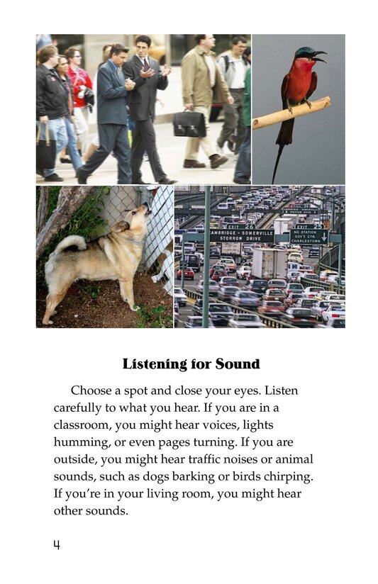 How Sound Works绘本故事第3页