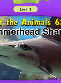 Hammerhead Shark
