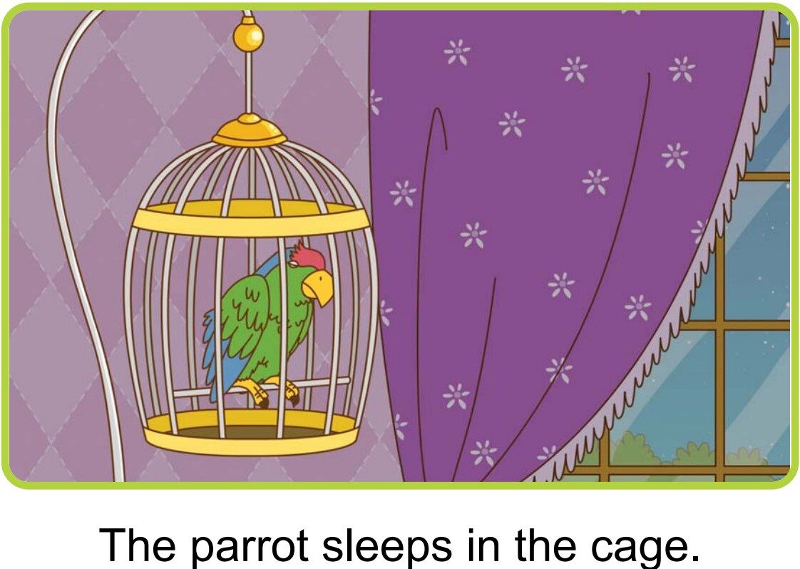 At Night绘本故事第5页