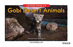 Gobi Desert Animals