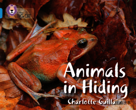 Animals in Hiding