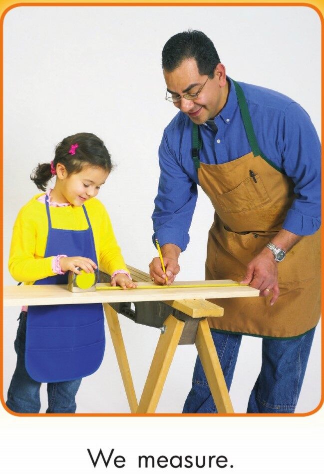 We Build a Birdhouse绘本故事第3页