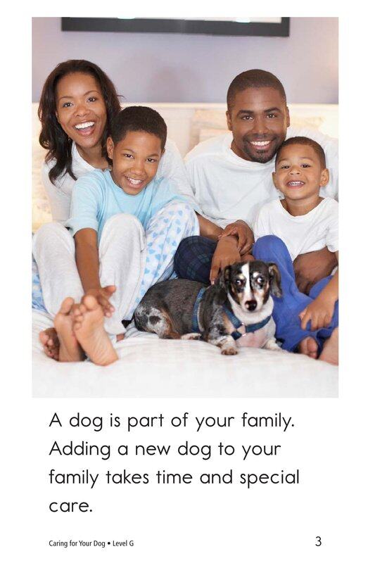 Caring for Your Dog绘本故事第3页