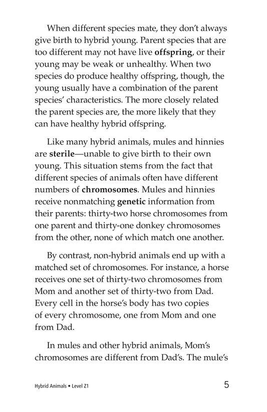 Hybrid Animals绘本故事第4页