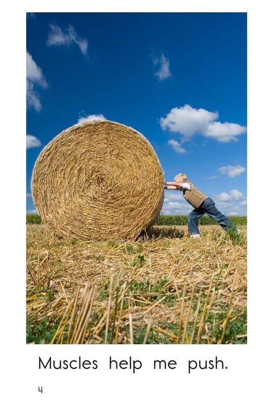 Muscles绘本故事第4页