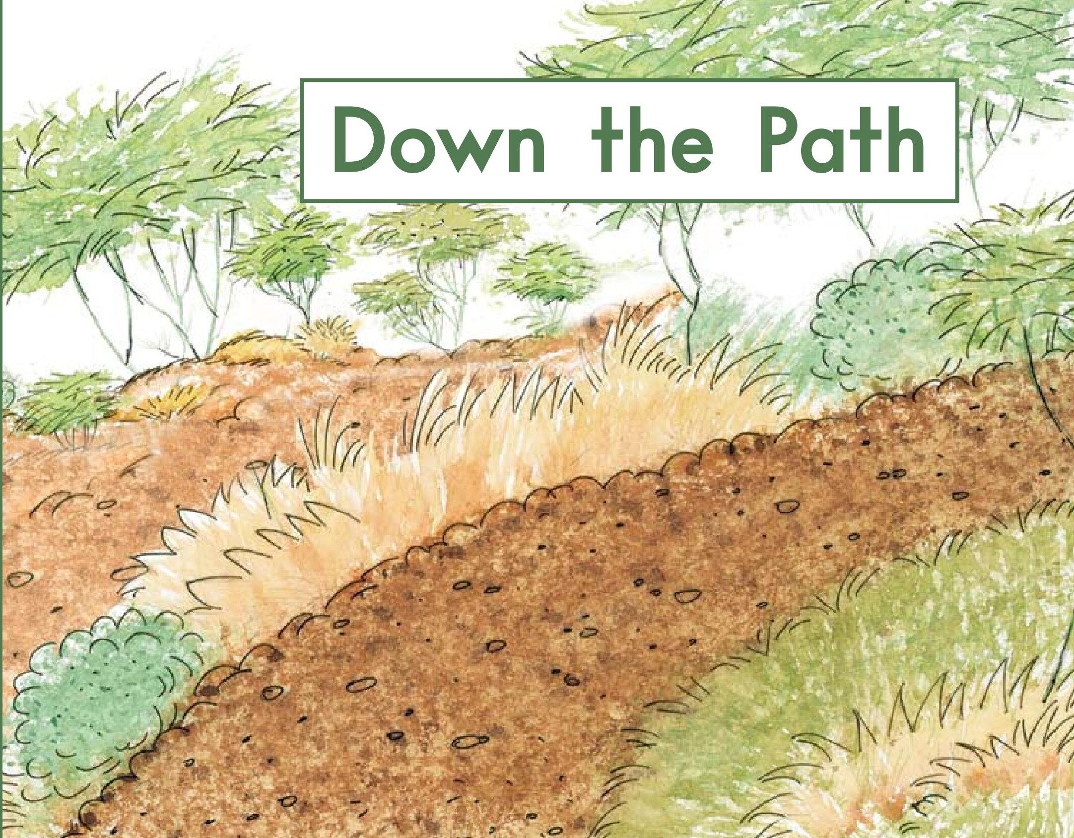 Down The Path绘本故事第2页