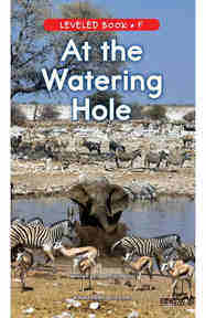 At the Watering Hole