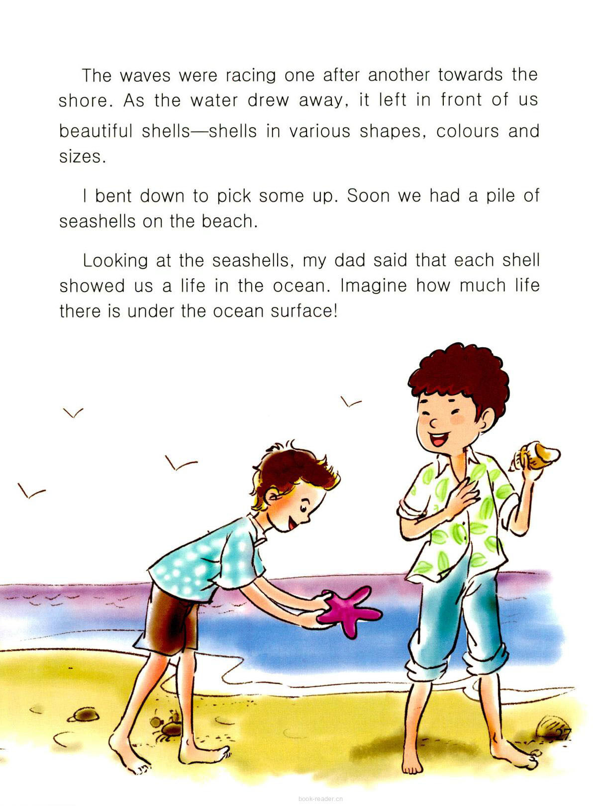 Seashells绘本故事第3页