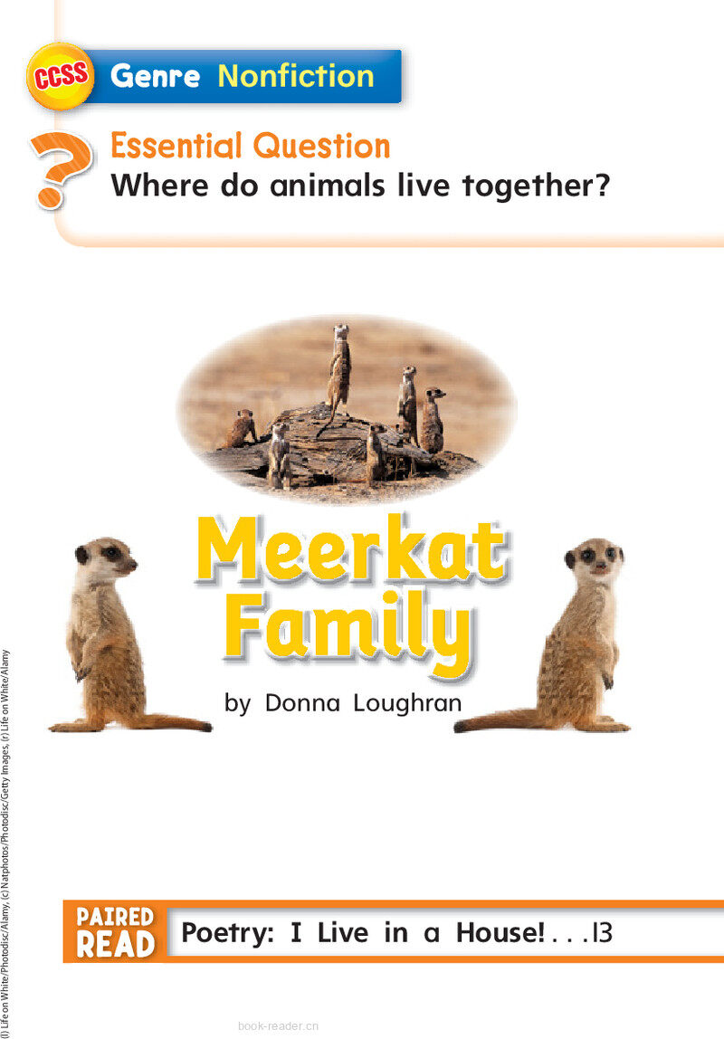G1 App U2W3 Meerkat Family绘本故事第3页