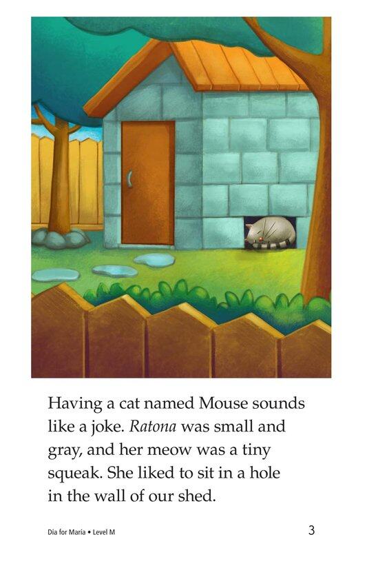 Dia for Maria绘本故事第3页