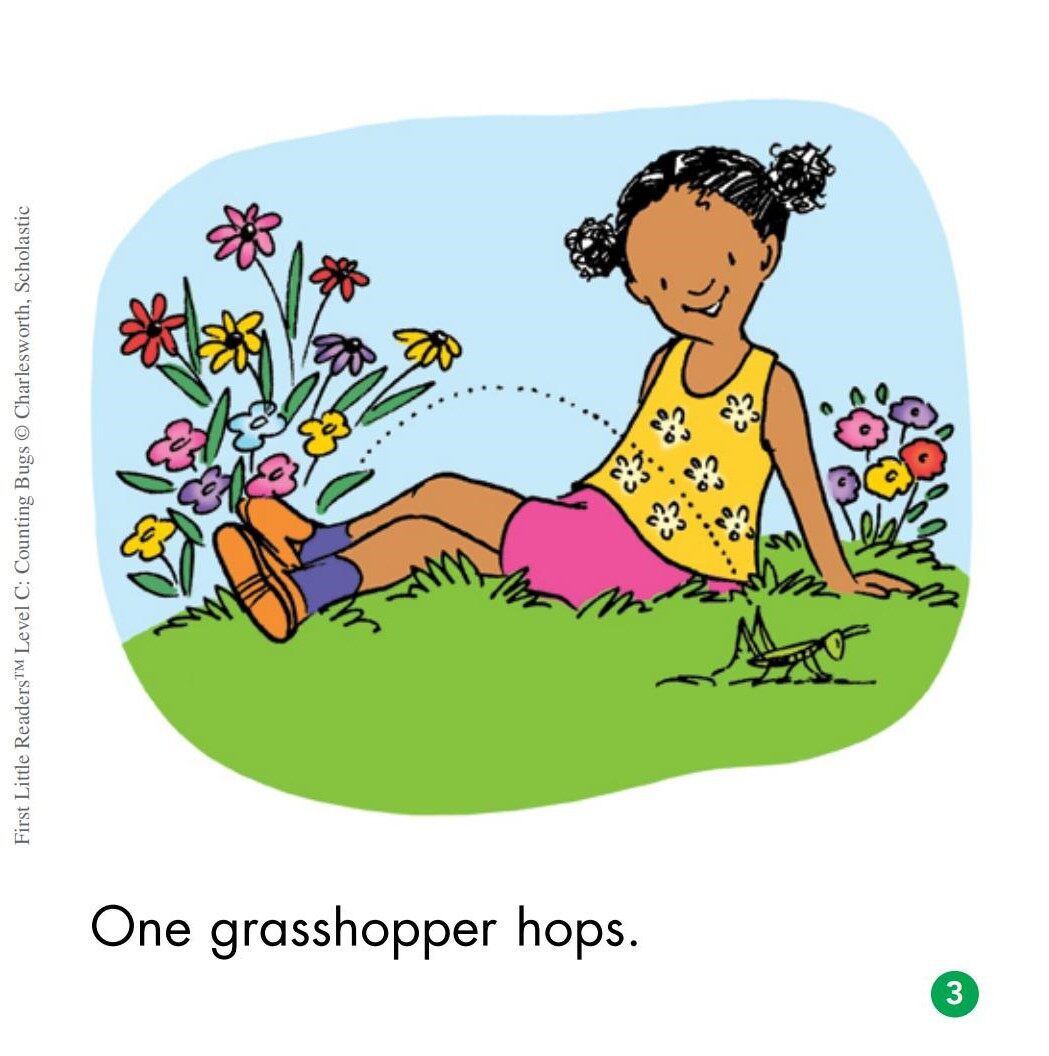 Counting Bugs绘本故事第4页