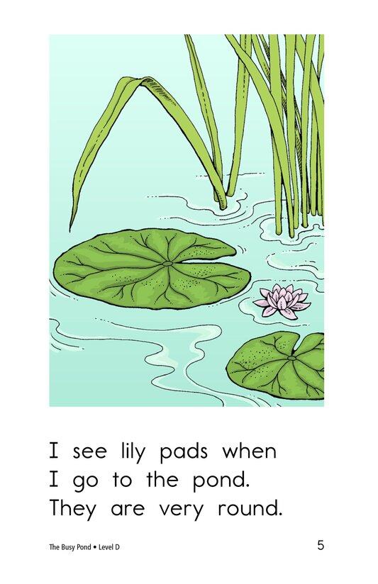 The Busy Pond绘本故事第5页