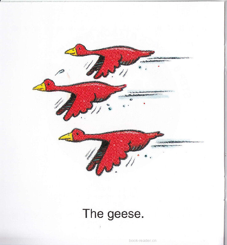 Three For Tea绘本故事第3页