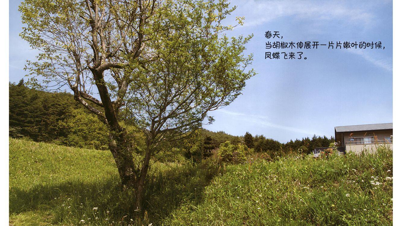 诞生了！凤蝶绘本故事第3页