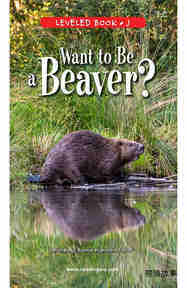 Want to Be a Beaver